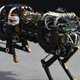 A robotic cheetah runs during a demonstration at the finals of the DARPA Robotics Challenge at the Fairplex complex in Pomona, California on June 6, 2015